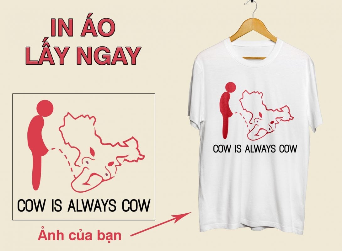 In áo, in áo theo yêu cầu, in decal, in kỹ thuật số, in lưới