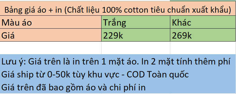 In áo, in áo theo yêu cầu, in decal, in kỹ thuật số, in lưới
